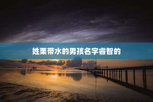 姓栗带水的男孩名字睿智的