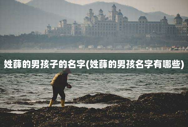 姓薛的男孩子的名字(姓薛的男孩名字有哪些)