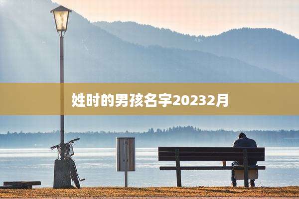 姓时的男孩名字20232月