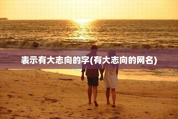 表示有大志向的字(有大志向的网名)