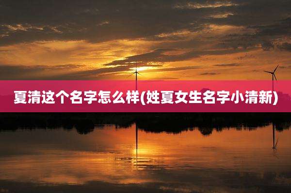 夏清这个名字怎么样(姓夏女生名字小清新)