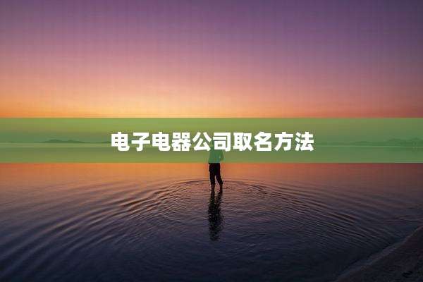 电子电器公司取名方法