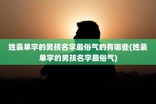 姓裴单字的男孩名字最俗气的有哪些(姓裴单字的男孩名字最俗气)