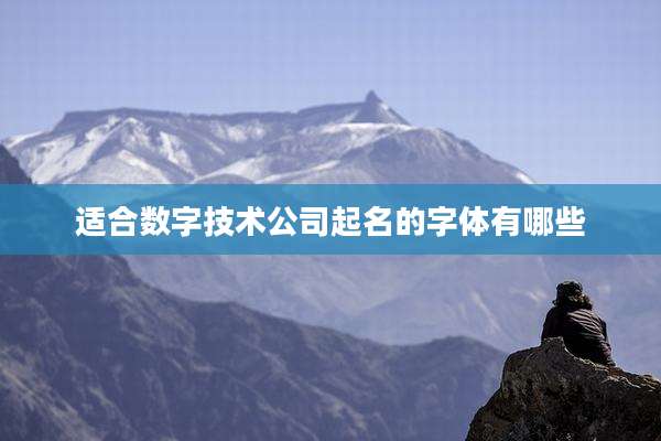 适合数字技术公司起名的字体有哪些