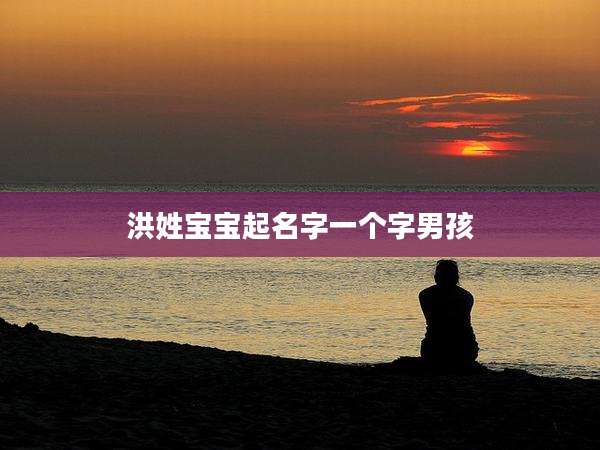 洪姓宝宝起名字一个字男孩