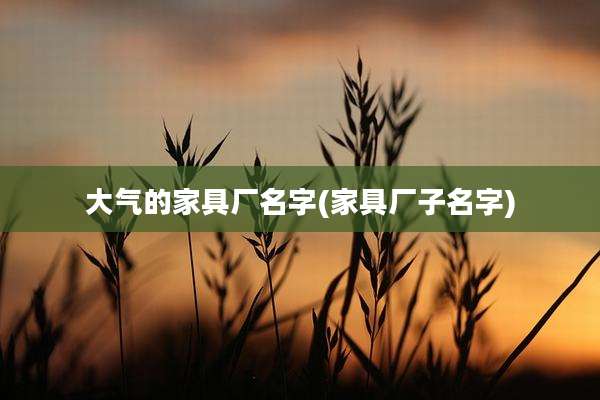 大气的家具厂名字(家具厂子名字)