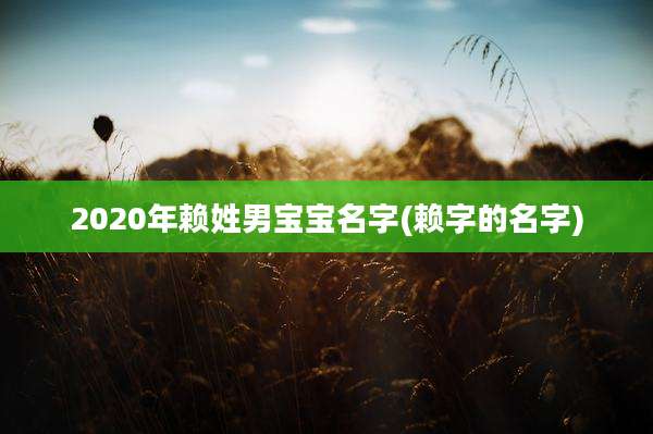 2020年赖姓男宝宝名字(赖字的名字)