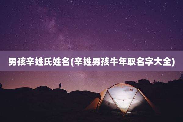 男孩辛姓氏姓名(辛姓男孩牛年取名字大全)