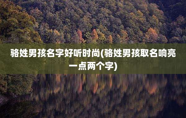 骆姓男孩名字好听时尚(骆姓男孩取名响亮一点两个字)