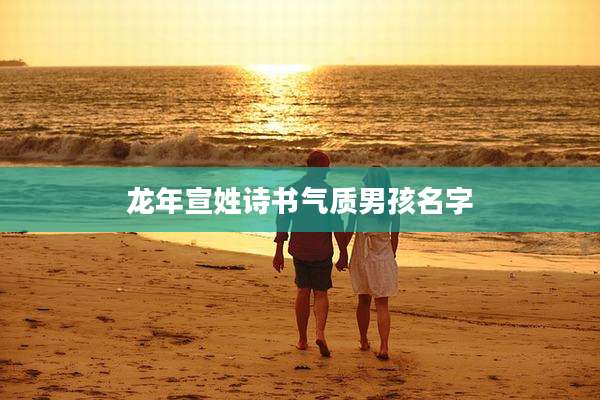 龙年宣姓诗书气质男孩名字