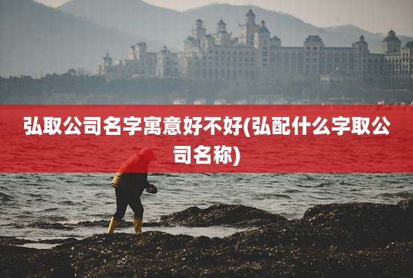 弘取公司名字寓意好不好(弘配什么字取公司名称)