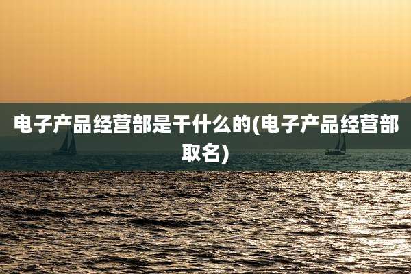 电子产品经营部是干什么的(电子产品经营部取名)