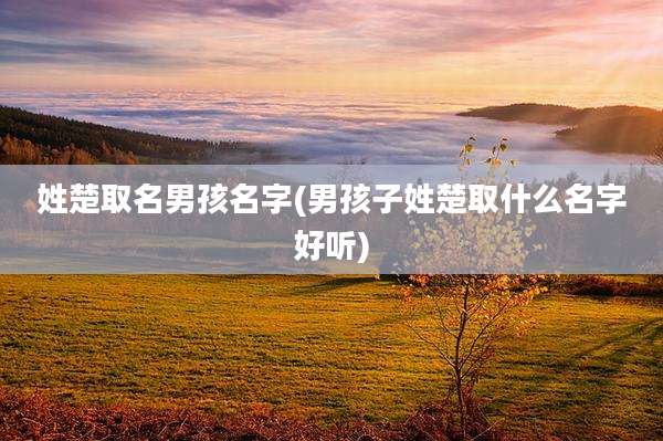 姓楚取名男孩名字(男孩子姓楚取什么名字好听)