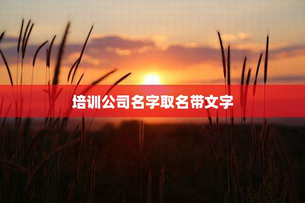 培训公司名字取名带文字