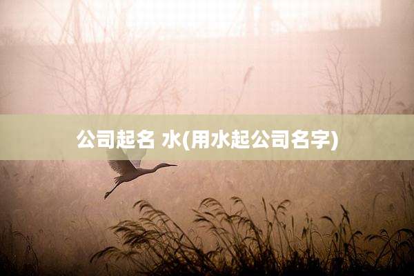 公司起名 水(用水起公司名字)