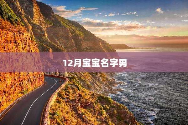 12月宝宝名字男
