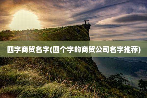 四字商贸名字(四个字的商贸公司名字推荐)