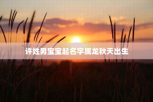 许姓男宝宝起名字属龙秋天出生