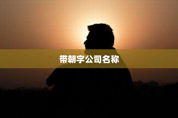带朝字公司名称