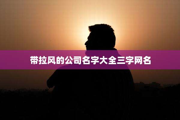 带拉风的公司名字大全三字网名