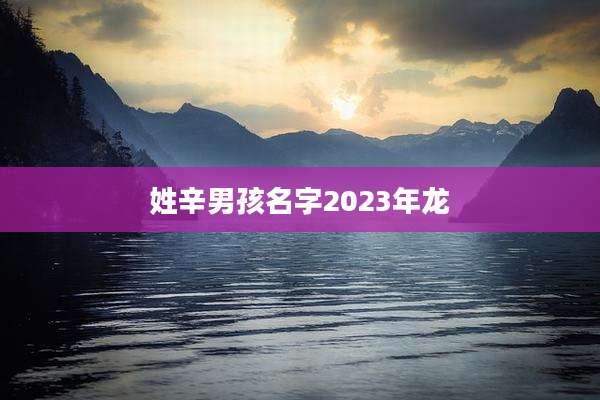 姓辛男孩名字2023年龙