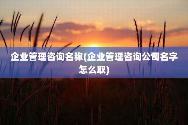 企业管理咨询名称(企业管理咨询公司名字怎么取)