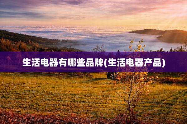 生活电器有哪些品牌(生活电器产品)