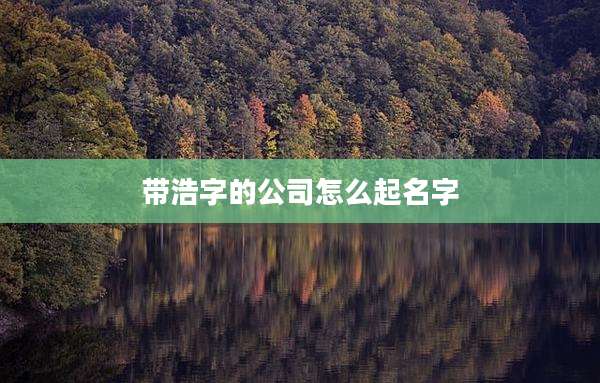 带浩字的公司怎么起名字