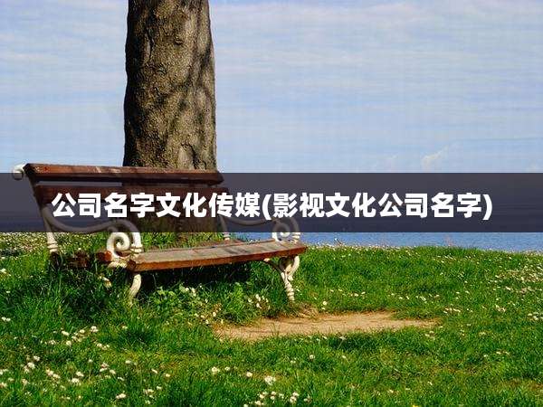 公司名字文化传媒(影视文化公司名字)