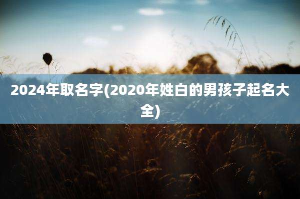 2024年取名字(2020年姓白的男孩子起名大全)