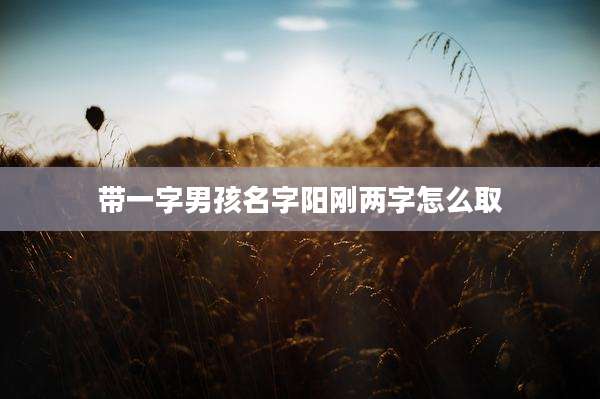 带一字男孩名字阳刚两字怎么取