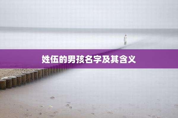 姓伍的男孩名字及其含义