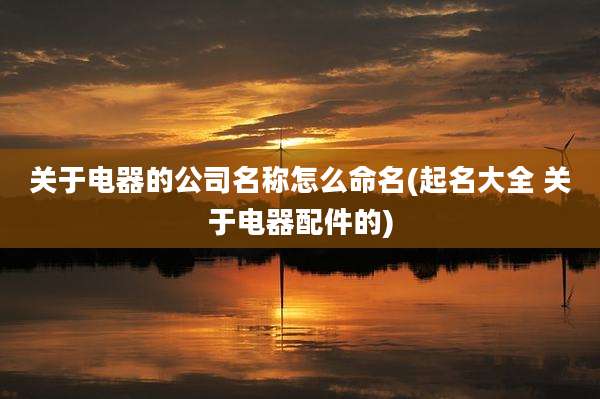 关于电器的公司名称怎么命名(起名大全 关于电器配件的)