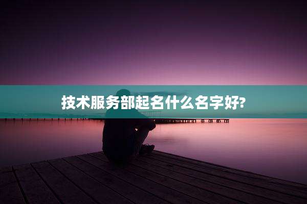 技术服务部起名什么名字好?