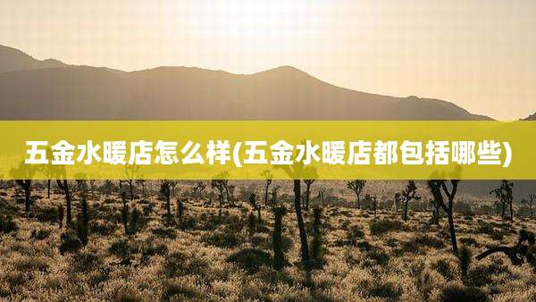 五金水暖店怎么样(五金水暖店都包括哪些)