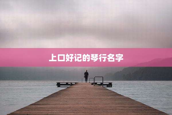 上口好记的琴行名字