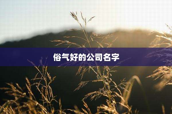 俗气好的公司名字