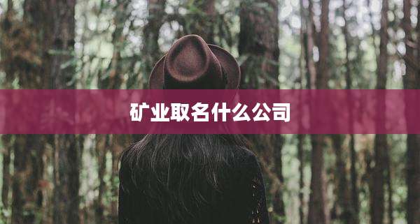 矿业取名什么公司
