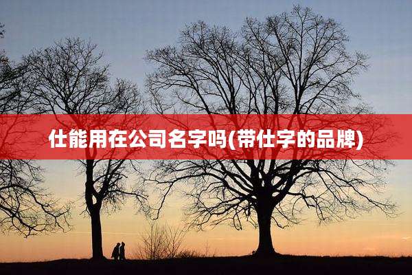 仕能用在公司名字吗(带仕字的品牌)
