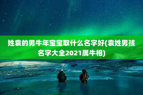 姓袁的男牛年宝宝取什么名字好(袁姓男孩名字大全2021属牛相)