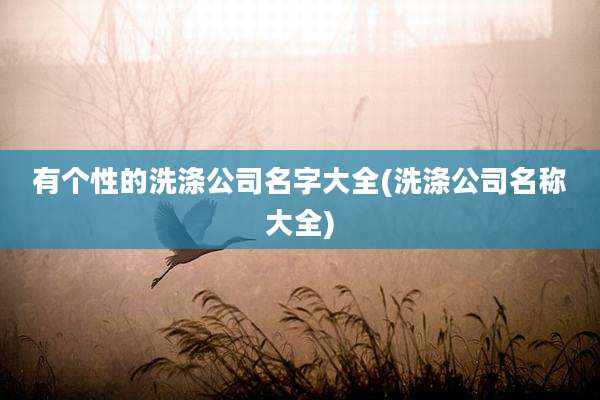 有个性的洗涤公司名字大全(洗涤公司名称大全)