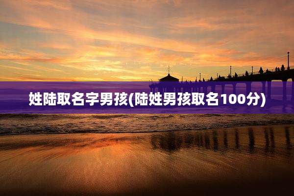 姓陆取名字男孩(陆姓男孩取名100分)