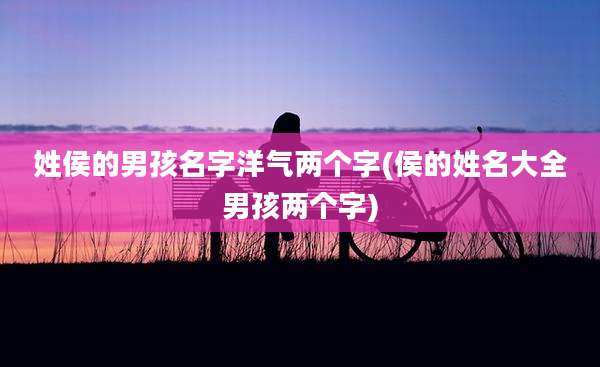 姓侯的男孩名字洋气两个字(侯的姓名大全男孩两个字)