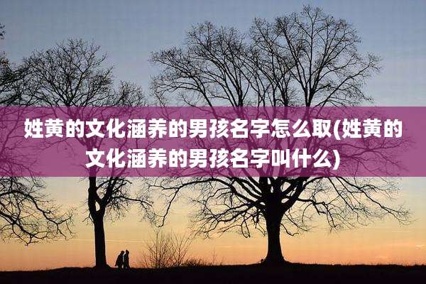 姓黄的文化涵养的男孩名字怎么取(姓黄的文化涵养的男孩名字叫什么)