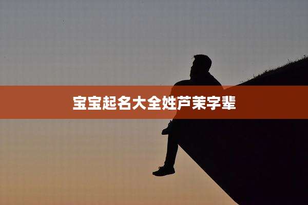 宝宝起名大全姓芦茉字辈
