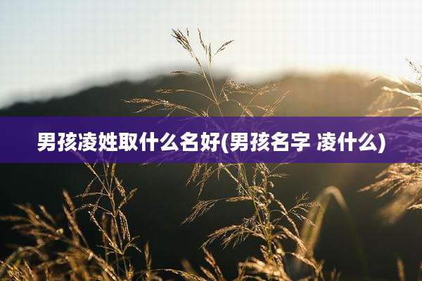 男孩凌姓取什么名好(男孩名字 凌什么)