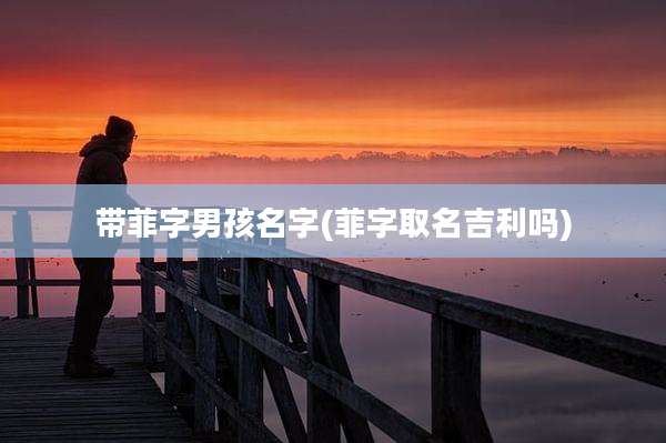 带菲字男孩名字(菲字取名吉利吗)