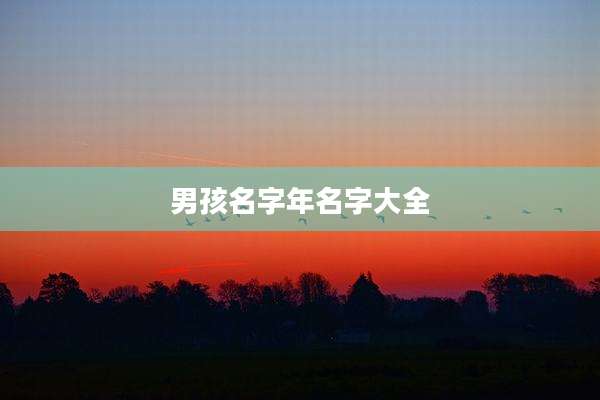 男孩名字年名字大全