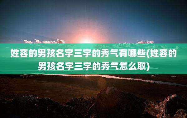 姓容的男孩名字三字的秀气有哪些(姓容的男孩名字三字的秀气怎么取)