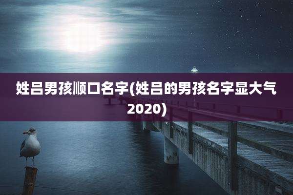 姓吕男孩顺口名字(姓吕的男孩名字显大气2020)